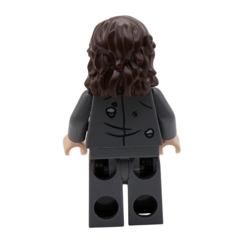 Lego Harry Potter Sirius Black Minifigure Blister Pack - HP174