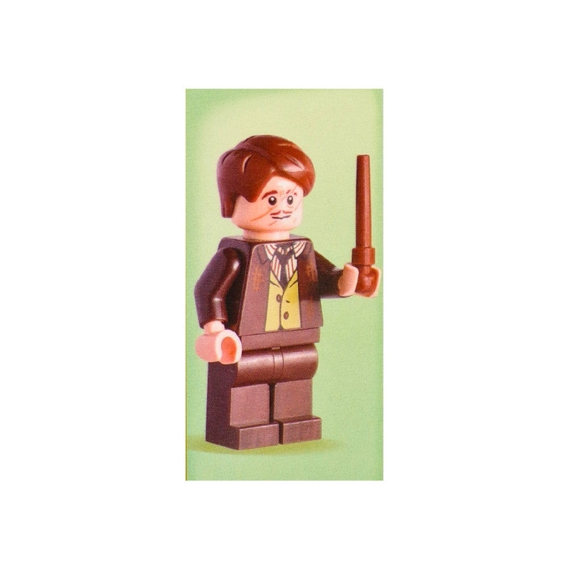 LEGO® Harry Potter™: Duelling a Dementor Activity Book