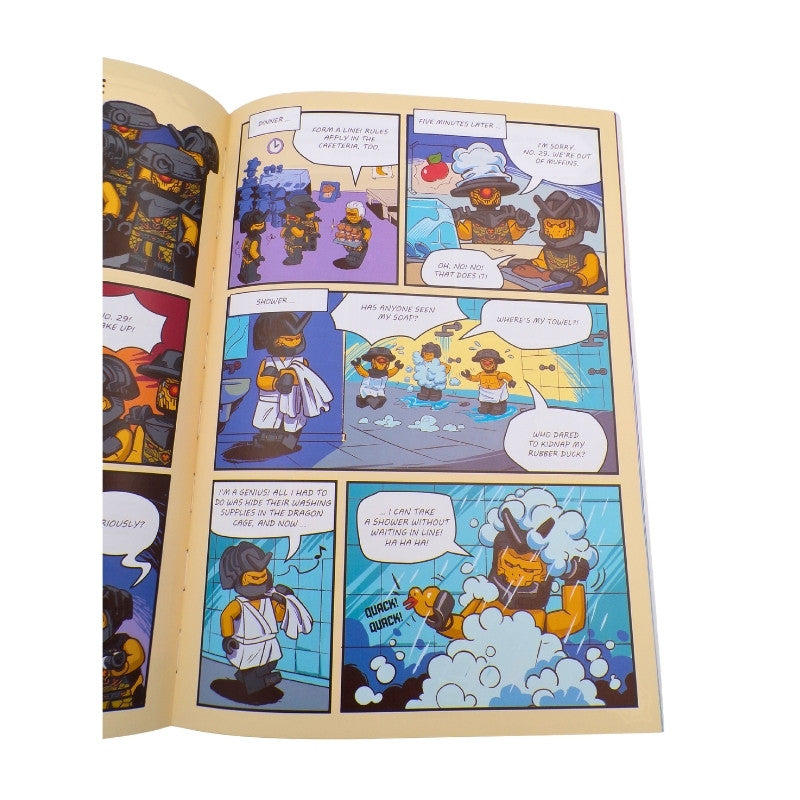 LEGO® NINJAGO®: Empire Warrior Activity Book